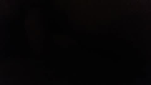 Snapshot of ninjadance chatting on December 2024 11:01:01 AM Ninjadance online show from December 2024 11:01:01 AM