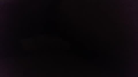 Snapshot of ninjadance chatting on December 2024 10:23:02 AM Ninjadance online show from December 2024 10:23:02 AM