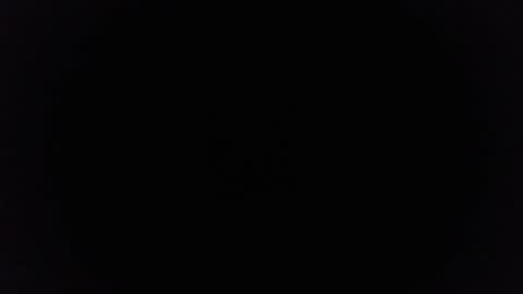 Snapshot of ninjadance chatting on March 2025 01:03:01 PM Ninjadance online show from March 2025 01:03:01 PM