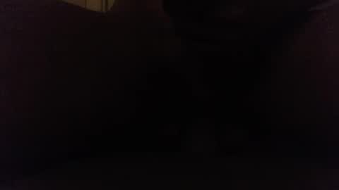 Snapshot of ninjadance chatting on October 2025 08:12:01 AM Ninjadance online show from October 2025 08:12:01 AM