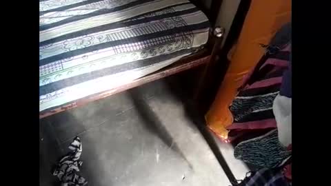 Nisha online show from March 2025 03:17:01 AM