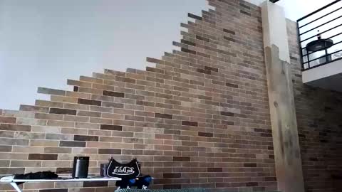 NIVIA WOLFE online show from March 2026 12:15:01 AM