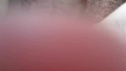 nkdarg online show from March 2026 01:46:02 AM