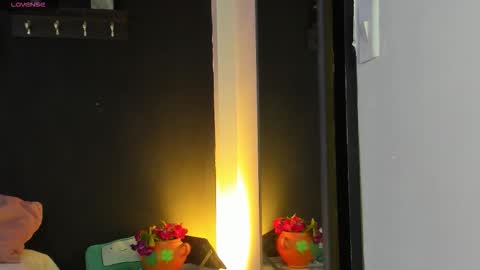 Snapshot of noah25_ chatting on January 2026 03:23:02 AM Noah online show from January 2026 03:23:02 AM