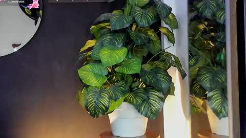 Snapshot of noah25_ chatting on March 2026 03:22:01 AM Noah online show from March 2026 03:22:01 AM