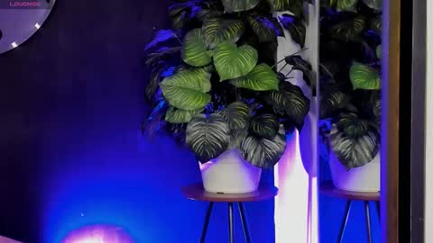 Snapshot of noah25_ chatting on March 2026 03:21:02 AM Noah online show from March 2026 03:21:02 AM