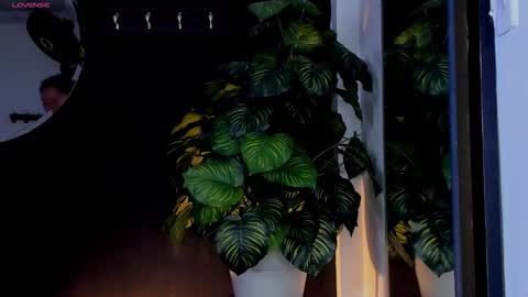 Snapshot of noah25_ chatting on March 2026 03:23:01 AM Noah online show from March 2026 03:23:01 AM