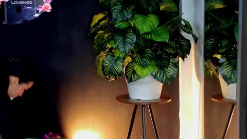 Snapshot of noah25_ chatting on April 2026 03:23:02 AM Noah online show from April 2026 03:23:02 AM