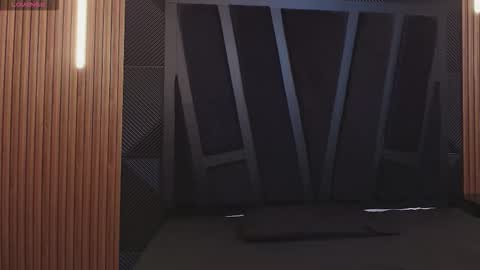 Snapshot of noah_clarkk chatting on February 2026 11:14:02 AM Noah online show from February 2026 11:14:02 AM