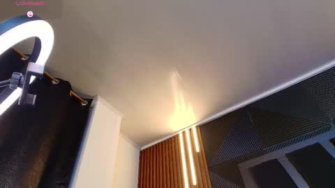 Snapshot of noah_clarkk chatting on February 2026 12:06:02 AM Noah online show from February 2026 12:06:02 AM