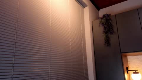 noah_dupont_ online show from November 2025 11:32:02 AM