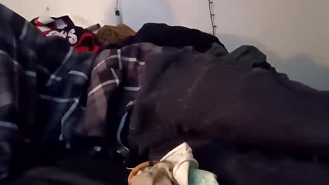 Noah Wesley online show from December 2024 07:16:01 AM