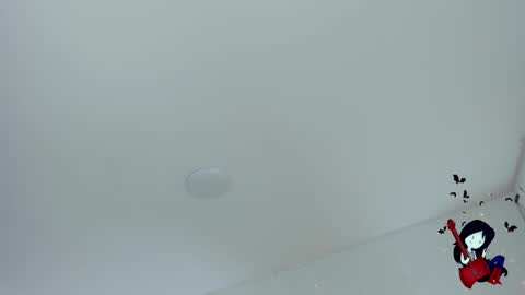 Noah  online show from October 2025 06:48:01 AM