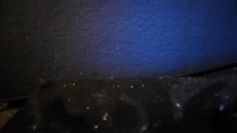 Snapshot of nocycle000 chatting on September 2025 06:51:02 PM Nocycle000 online show from September 2025 06:51:02 PM