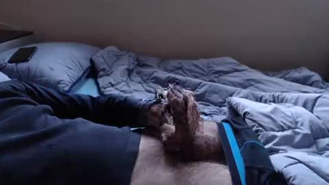 noksha online show from January 2025 03:10:02 PM