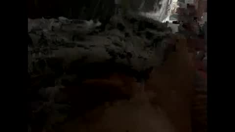 nolplus online show from January 2026 08:17:01 AM