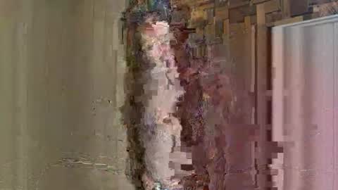 NoodsOverNudes online show from May 2026 02:46:01 PM