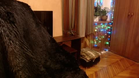 Snapshot of norma_gin chatting on December 2024 09:19:01 PM miss Tress online show from December 2024 09:19:01 PM