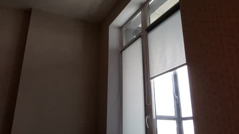 Snapshot of north_justin chatting on March 2026 12:23:02 PM Justin online show from March 2026 12:23:02 PM