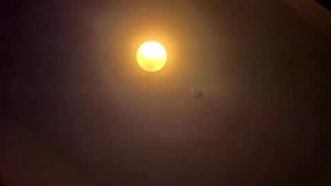 notEduxx online show from April 2026 07:42:02 AM