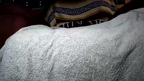nottoobored online show from July 2026 02:05:17 AM