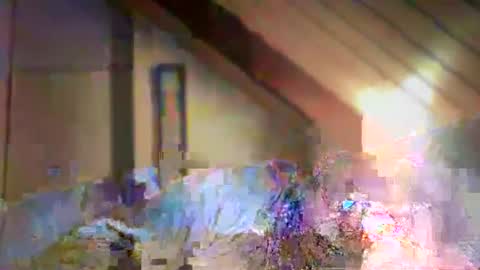 Snapshot of nurod chatting on December 2024 04:40:02 PM nurod online show from December 2024 04:40:02 PM