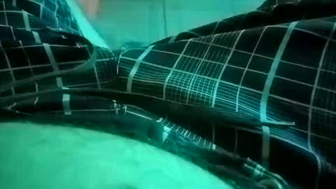 NuttyProfesir online show from April 2026 01:19:01 PM