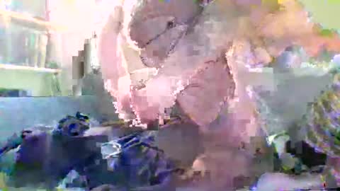 NYlonloversFFM online show from January 2026 07:17:01 PM