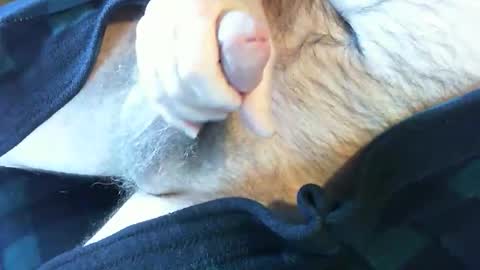 Snapshot of o269x2 chatting on February 2025 06:38:01 PM o269x2 online show from February 2025 06:38:01 PM