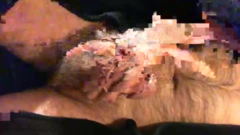 Snapshot of o269x2 chatting on November 2025 10:46:02 AM o269x2 online show from November 2025 10:46:02 AM