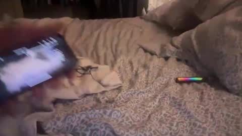 Snapshot of obiwand653040 chatting on November 2025 05:28:02 AM obiwand653040 online show from November 2025 05:28:02 AM