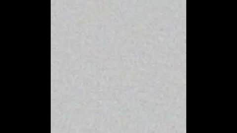 Snapshot of obsidian_stallion chatting on February 2026 08:07:01 AM Obsidian stallion online show from February 2026 08:07:01 AM