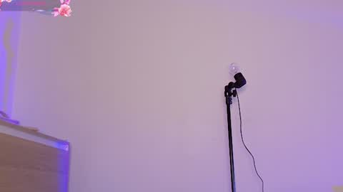 Your Ocean baby 3 online show from December 2024 11:14:01 PM