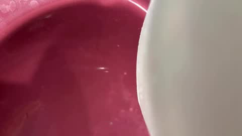 oconner701 online show from November 2025 05:30:02 AM