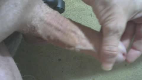 Snapshot of odentonman4fun chatting on June 2026 04:04:01 AM odentonman4fun online show from June 2026 04:04:01 AM
