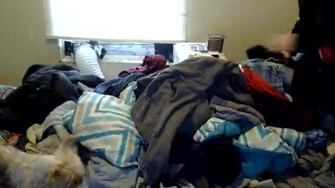 Snapshot of oflores77 chatting on November 2025 01:48:01 PM oscar flores online show from November 2025 01:48:01 PM