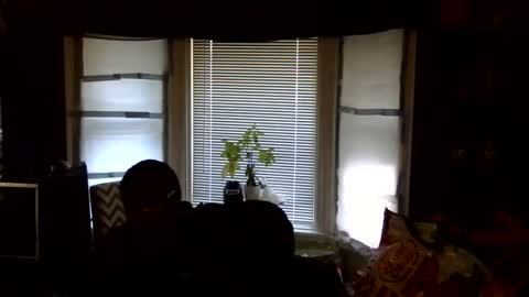 Snapshot of oflores77 chatting on February 2026 03:08:02 PM oscar flores online show from February 2026 03:08:02 PM