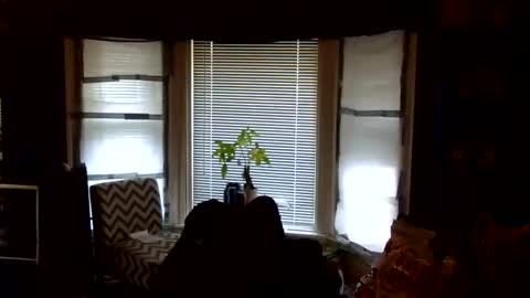 Snapshot of oflores77 chatting on February 2026 01:42:01 PM oscar flores online show from February 2026 01:42:01 PM