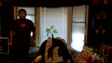 Snapshot of oflores77 chatting on March 2026 01:02:01 PM oscar flores online show from March 2026 01:02:01 PM