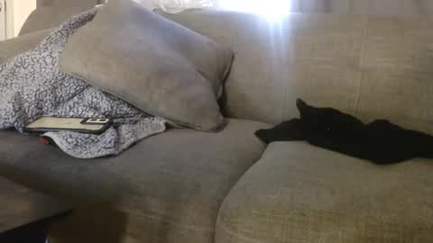 OGDigBick online show from November 2025 02:16:02 PM