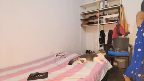 Snapshot of oh_tique chatting on September 2025 04:08:02 PM LU online show from September 2025 04:08:02 PM