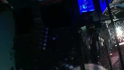 oheyhun online show from November 2025 10:48:01 AM