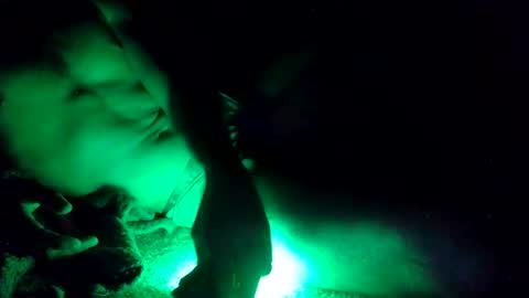 oibrev49 online show from March 2026 09:03:02 AM