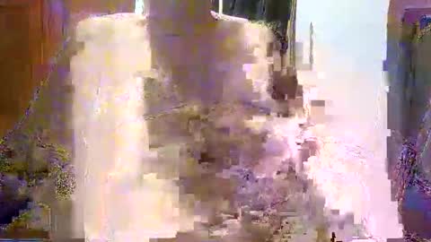 William online show from December 2025 07:48:02 AM