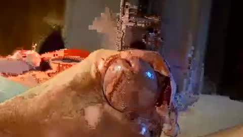 oldermtl online show from July 2026 12:13:01 AM