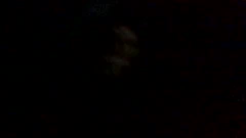 olivertwist1273 online show from January 2025 09:13:02 AM