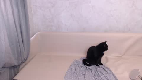 Olivia online show from October 2025 11:41:02 AM