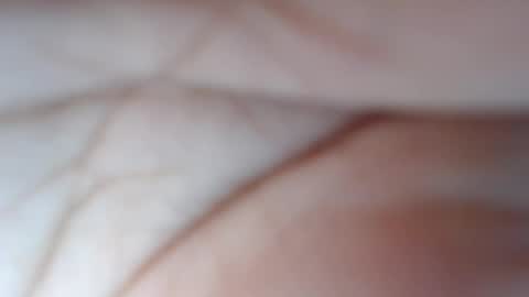 olivia hollywood online show from February 2025 05:40:01 AM