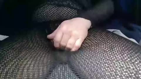 olli_5 online show from February 2025 09:24:01 AM