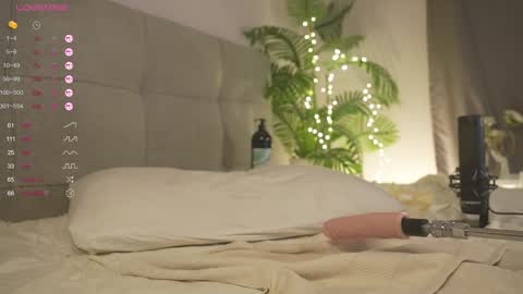 Snapshot of olsenspring chatting on February 2025 07:00:01 PM Lily dont forget to follow me good to see you all online show from February 2025 07:00:01 PM